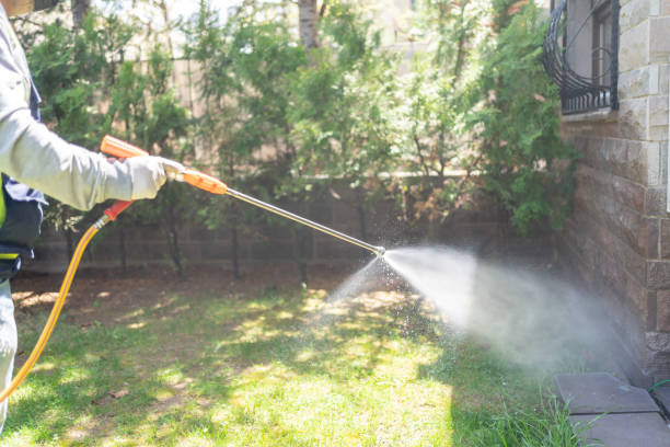 Best Best Pest Control Companies  in Gunbarrel, CO