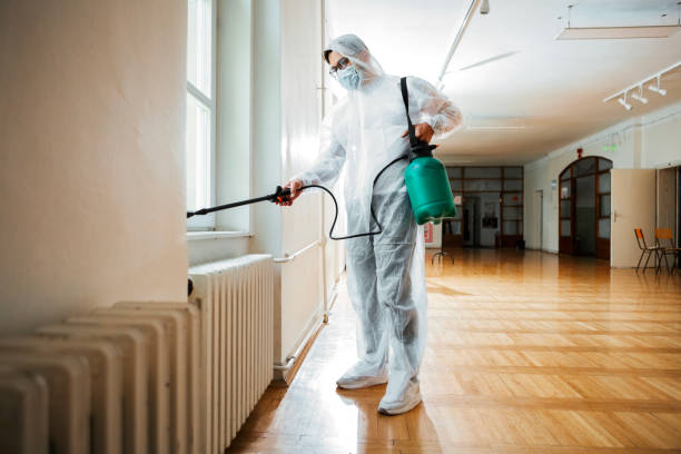 Best Flea Control Services  in Gunbarrel, CO