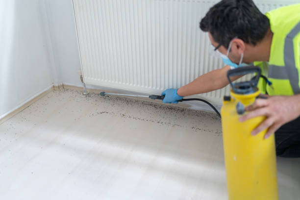 Best Pest Prevention Services  in Gunbarrel, CO